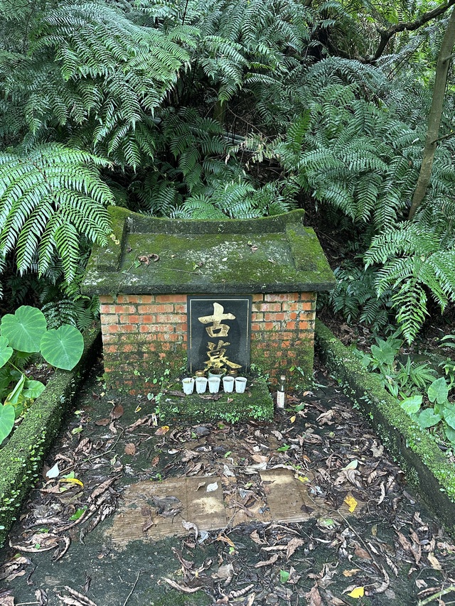 本市金山區陽金段1138地號內發現有（無）主墳墓之遷移照片