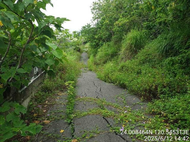 道路受損