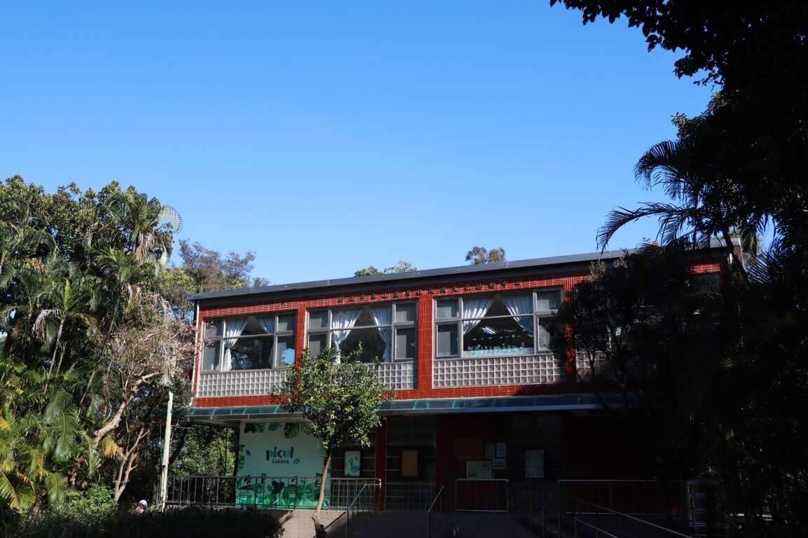 泰山森林樹屋外觀